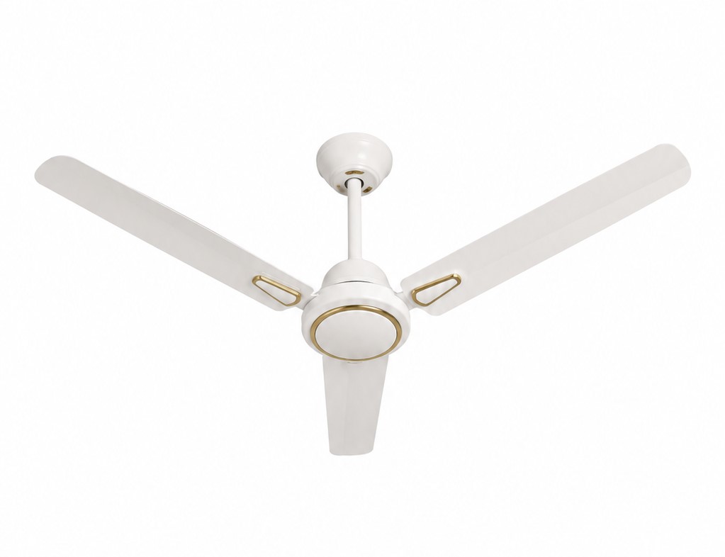 Ceiling Fan Installation